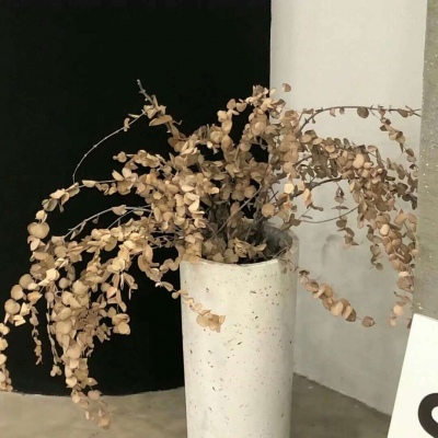 兽设故事创作思路FurryQQ群